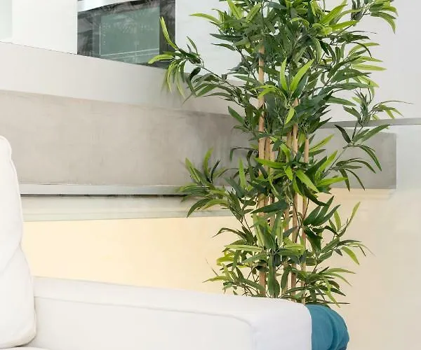 Patio Da Rainha A By Nook * エストリル